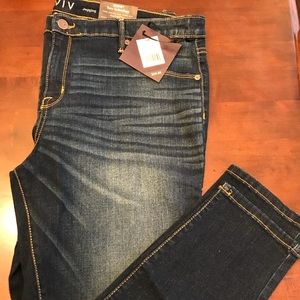 Ava & Viv Dark Rinse Jegging Denim